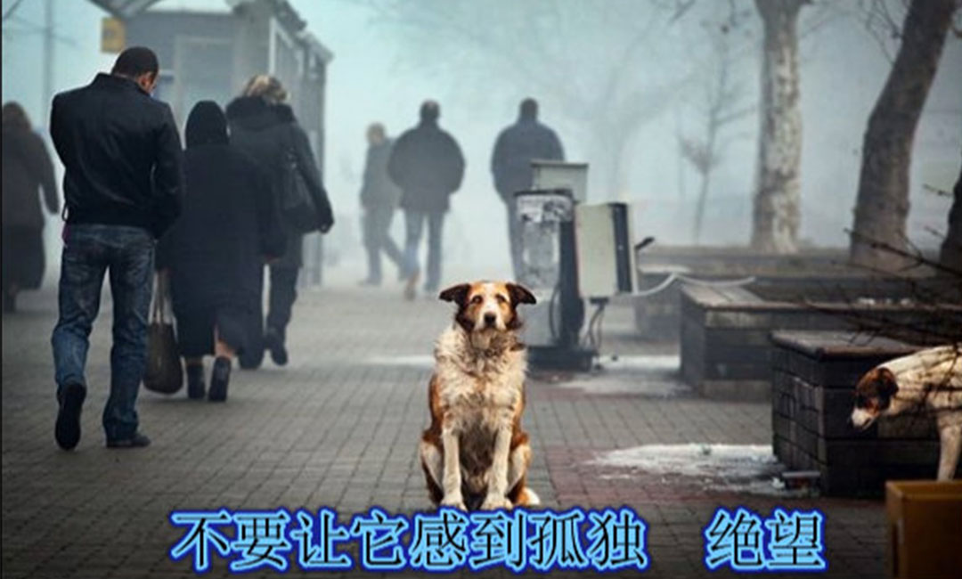 黄冈黄冈爱影圈微博微信转发案例